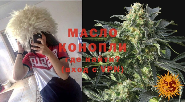 индика Лабытнанги