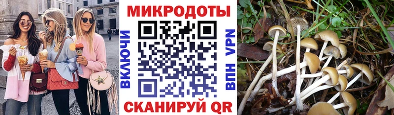 Галлюциногенные грибы ЛСД  наркотики  Урень 